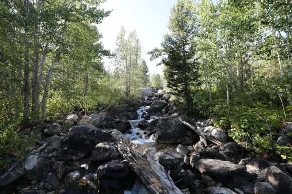 Taggart Creek Reflections