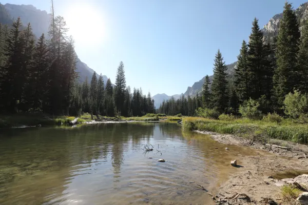 Stream 2