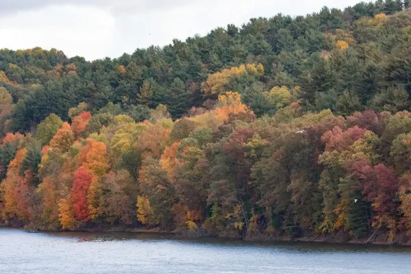 Lake 5