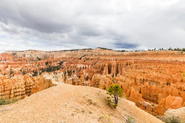 Canyon