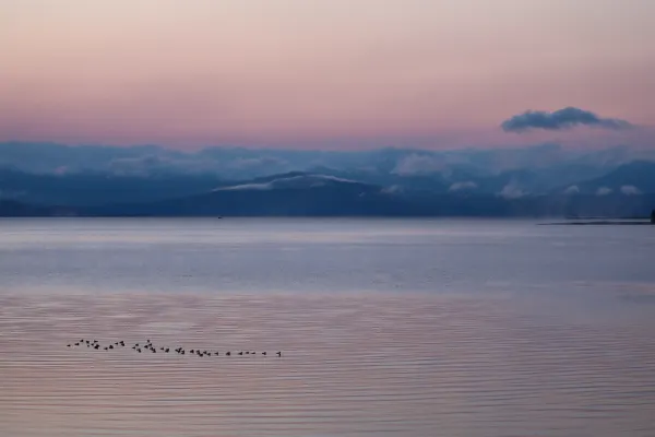 Yellowstone Lake at Dawn