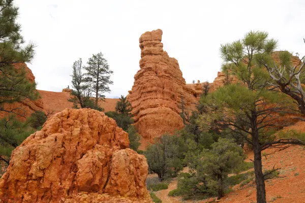 Red Canyon 2