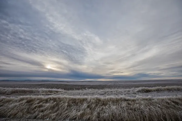Frozen prairie in Montana