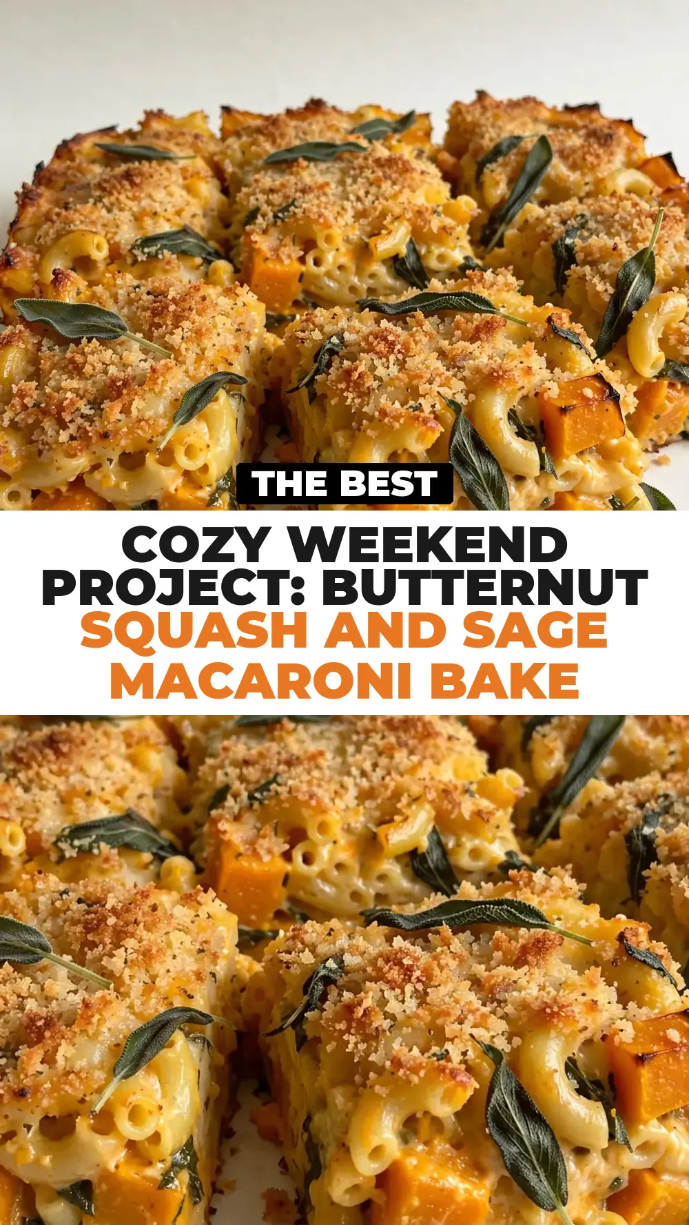 Save Butternut Squash and Sage Macaroni Bake to Pinterest