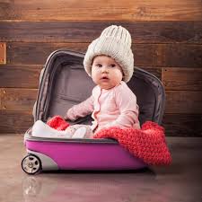 Baby Travel Accessories