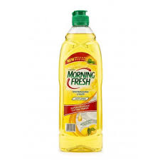 Morning Fresh Dish Wash Zest 450ml