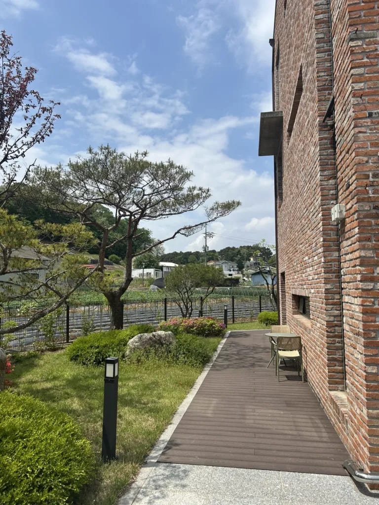 헤이리너싱홈 산책 데크 — 소나무와 야외 산책로