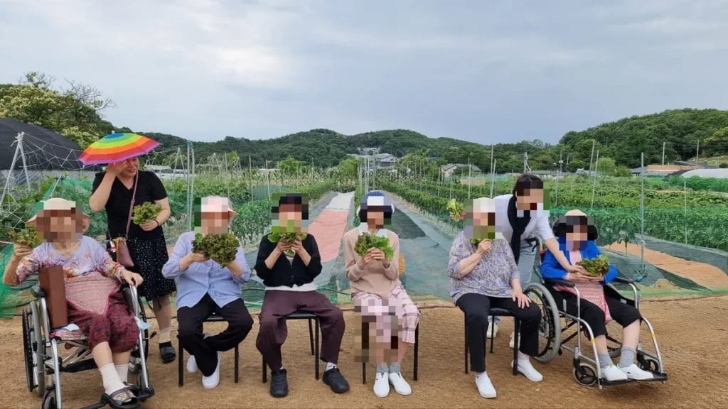 텃밭 앞 단체 나들이 원경(얼굴 블러)