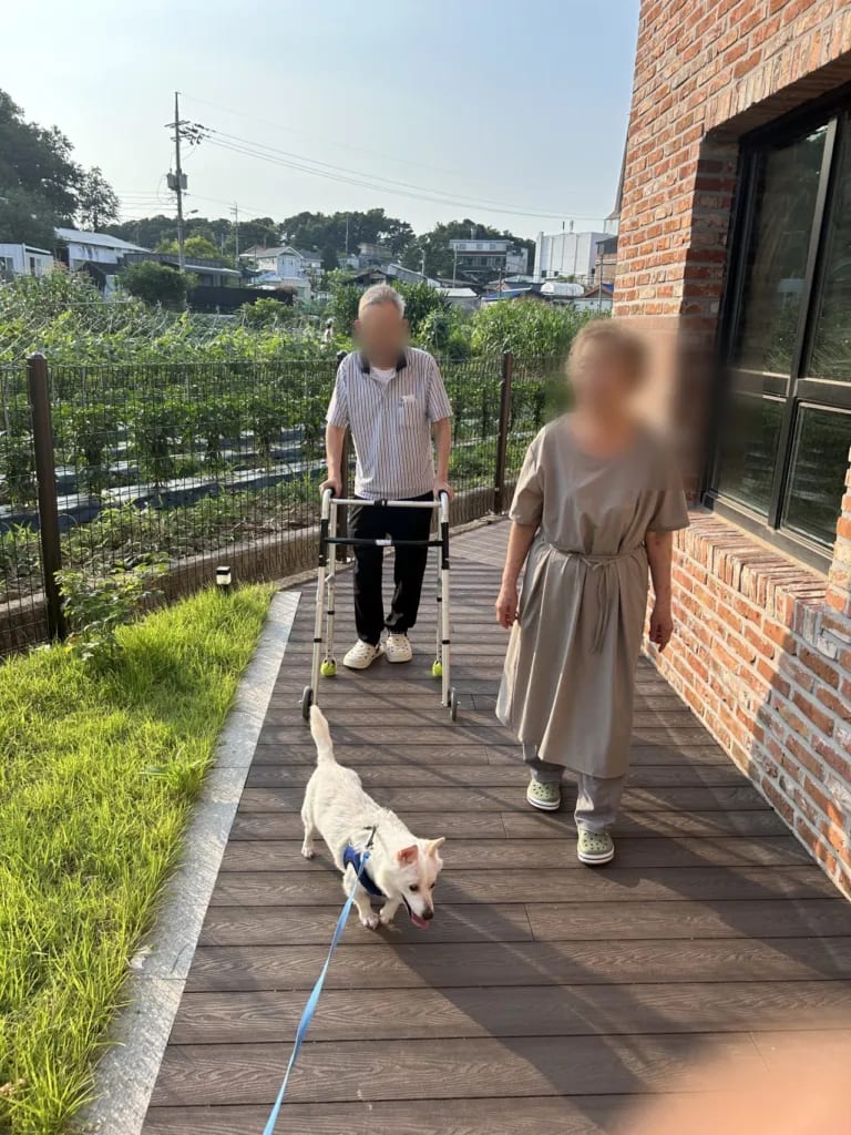 매일 아침 데크 산책 — 반려견 교감