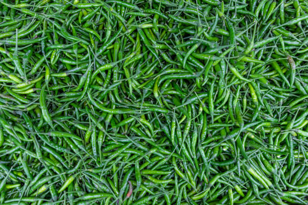 Green Chilli
