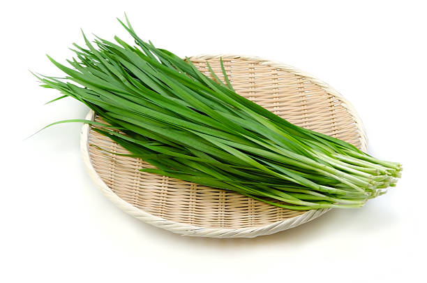 Garlic Chives