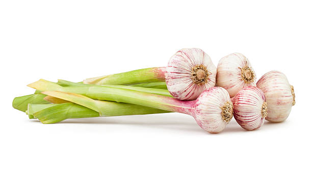 Green Garlic