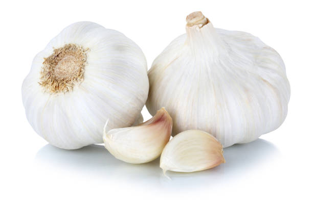 Organically Grown Garlic