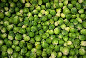 Brussels Sprouts