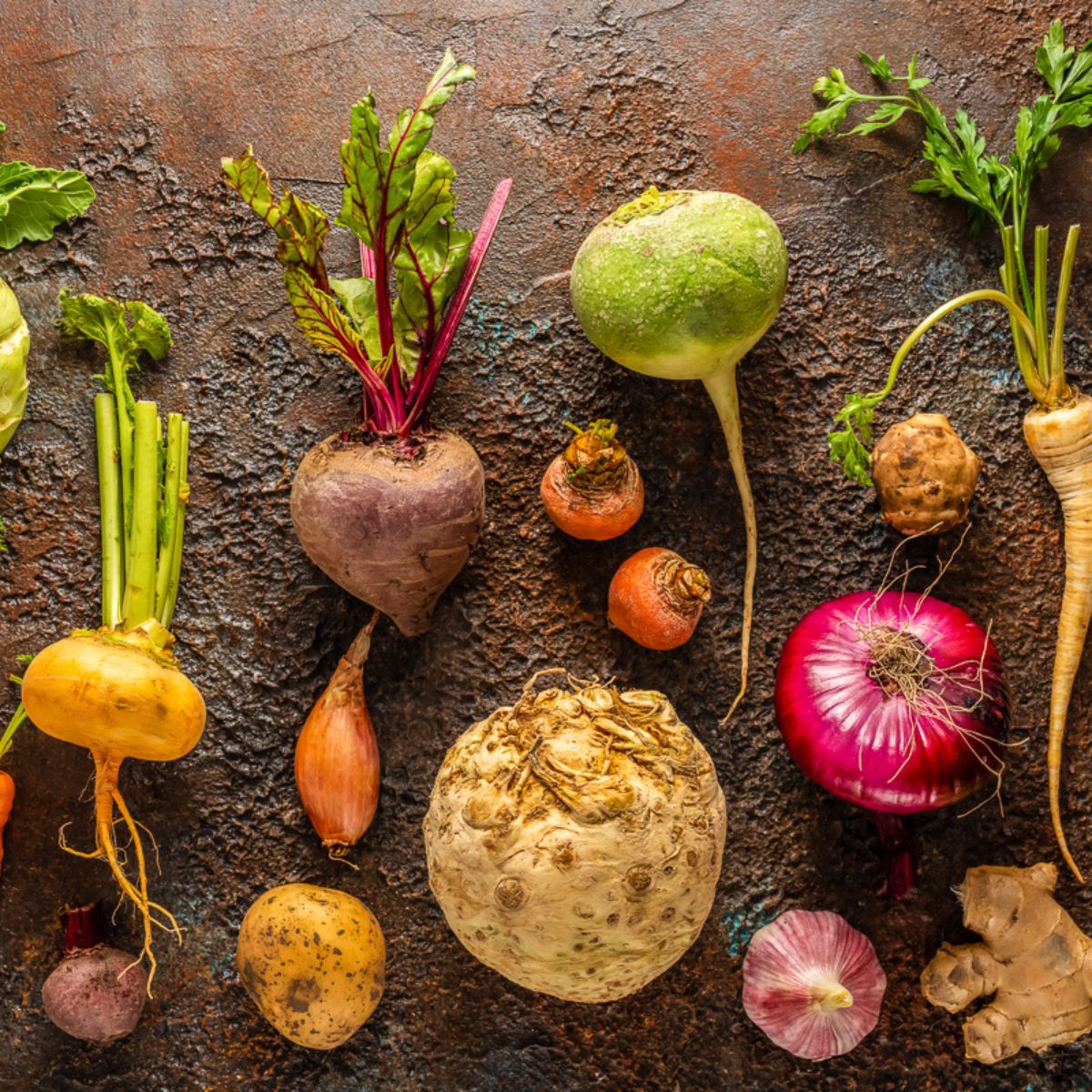 🥕Root Vegetables