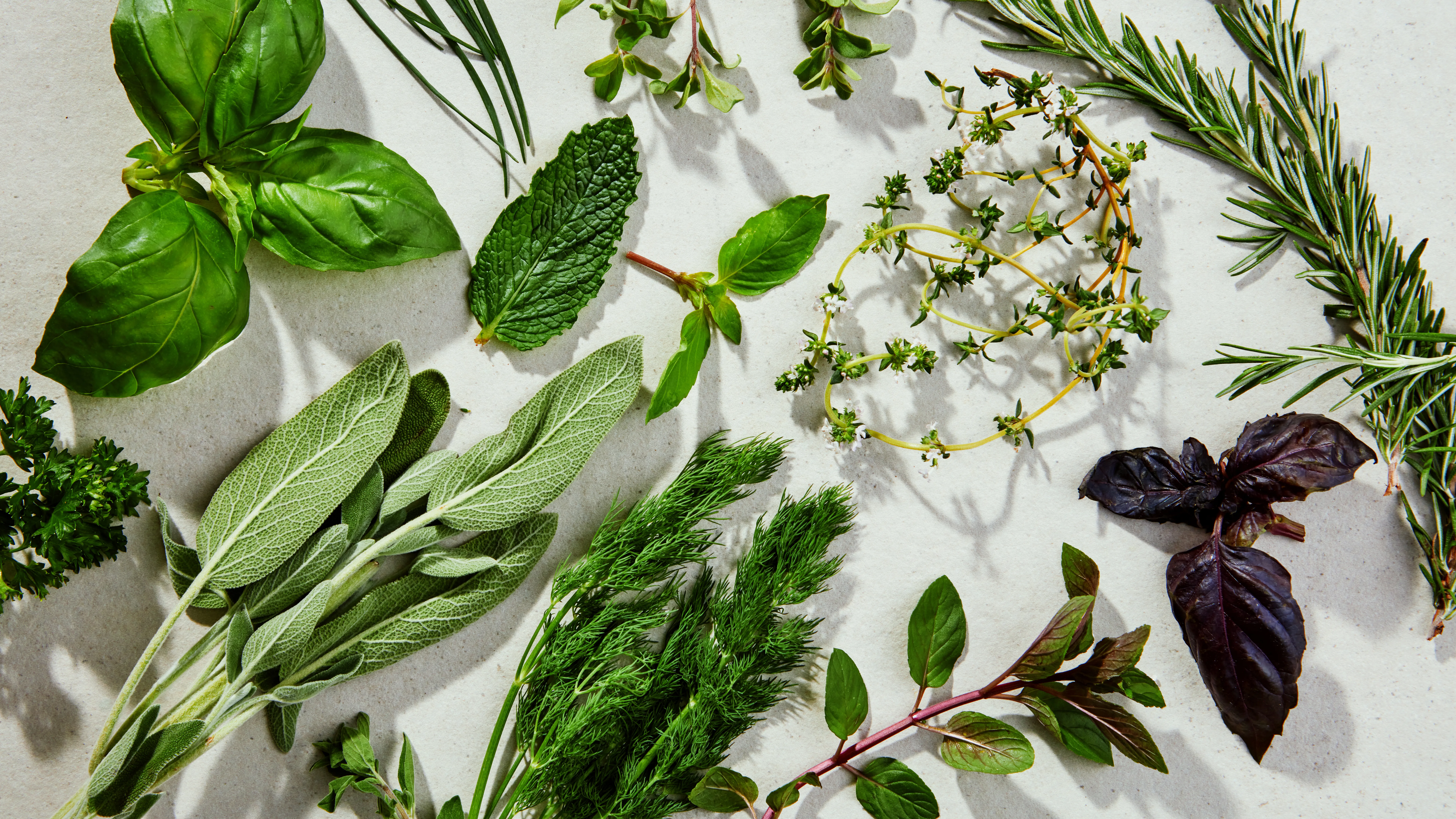 Herbs Green