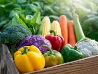 Winter Specials