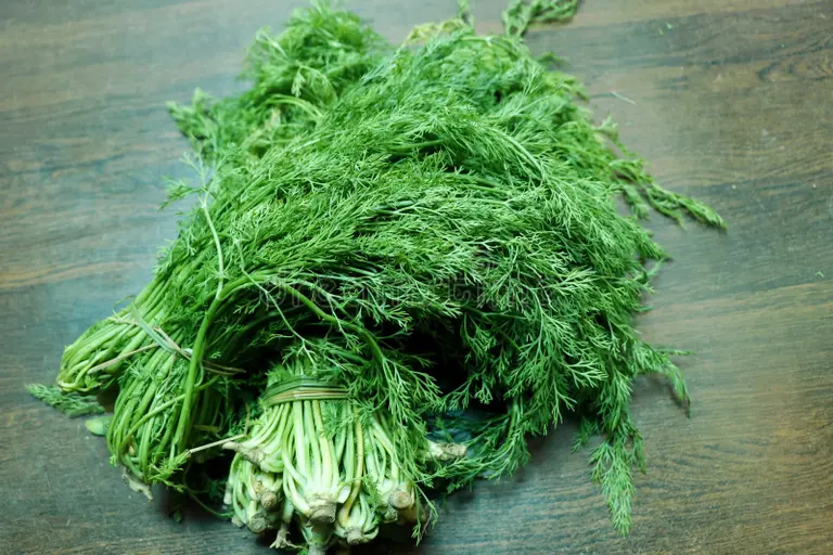 Suva Bhaji