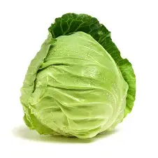Cabbage