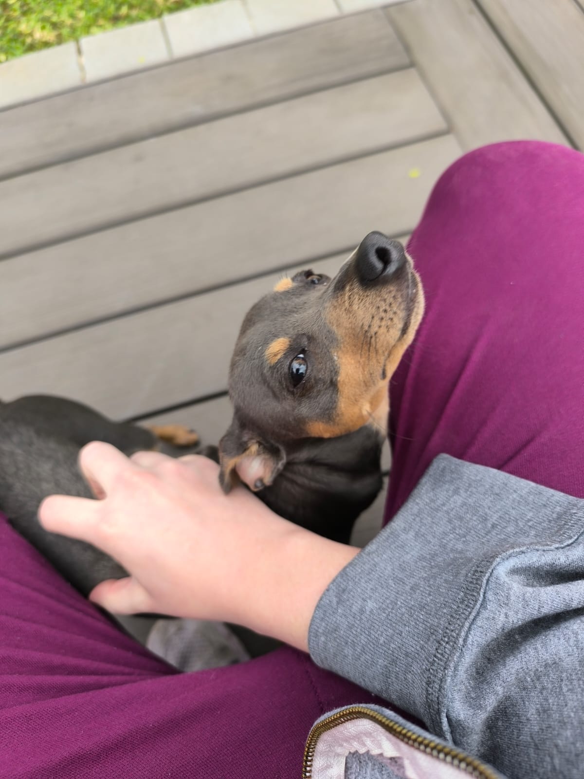 Odin during sitting