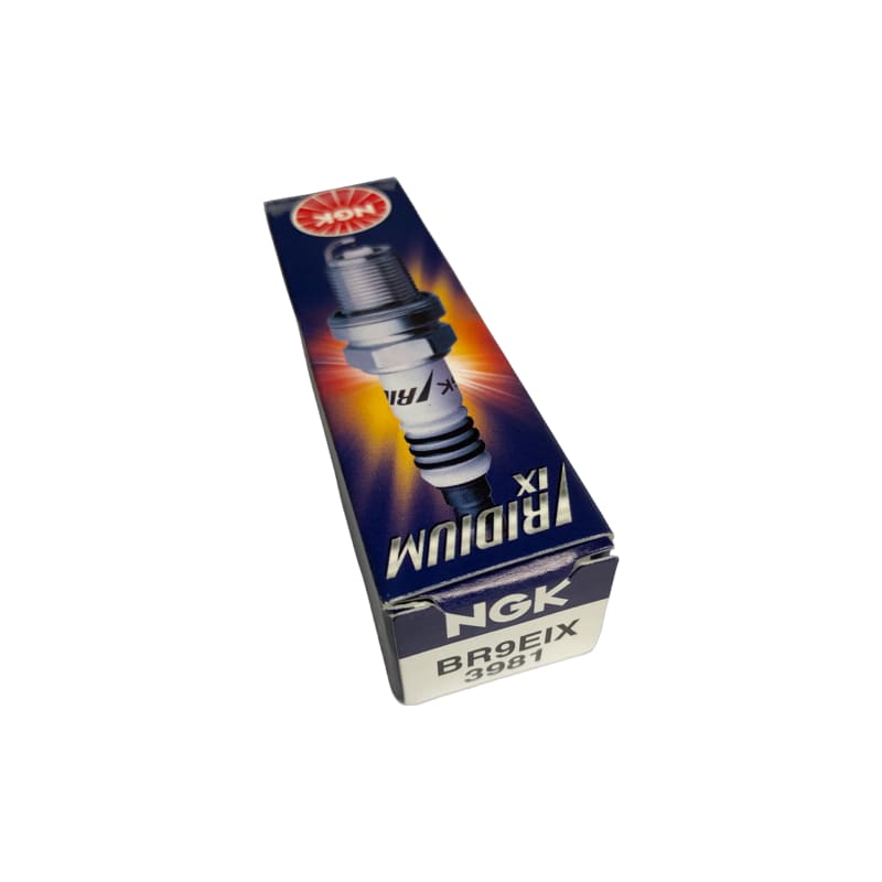 Spark Plug - NGK Iridium