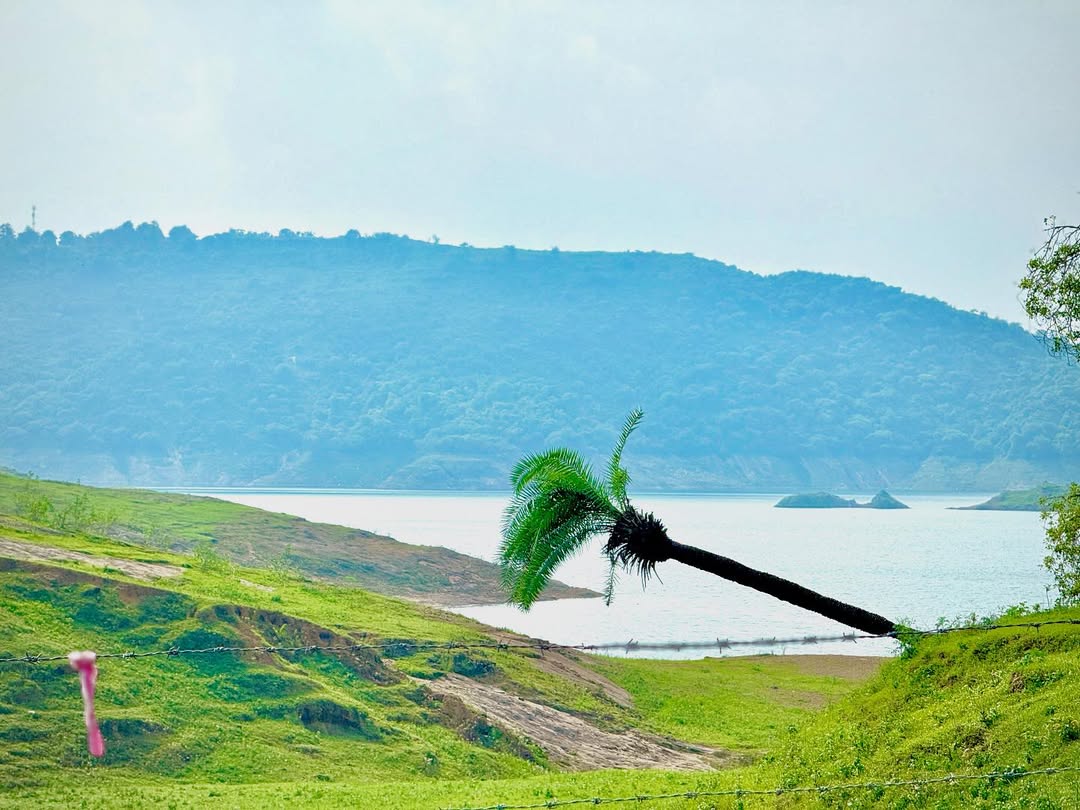 Lush Green Meadows by a Calm Blue Lake
