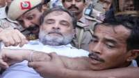 राहुल गांधी को पुलिस ने कंधे पर उठाया, तो गाड़ी पर पैर अड़ाया, हिरासत में लिए गए