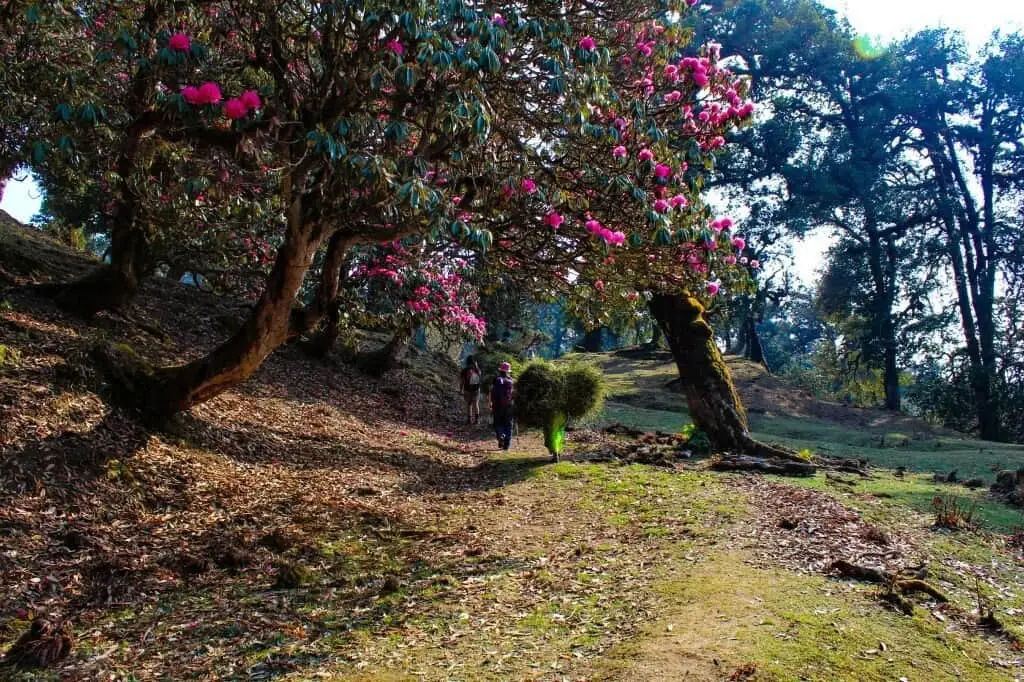 Deoriatal Chandrashila