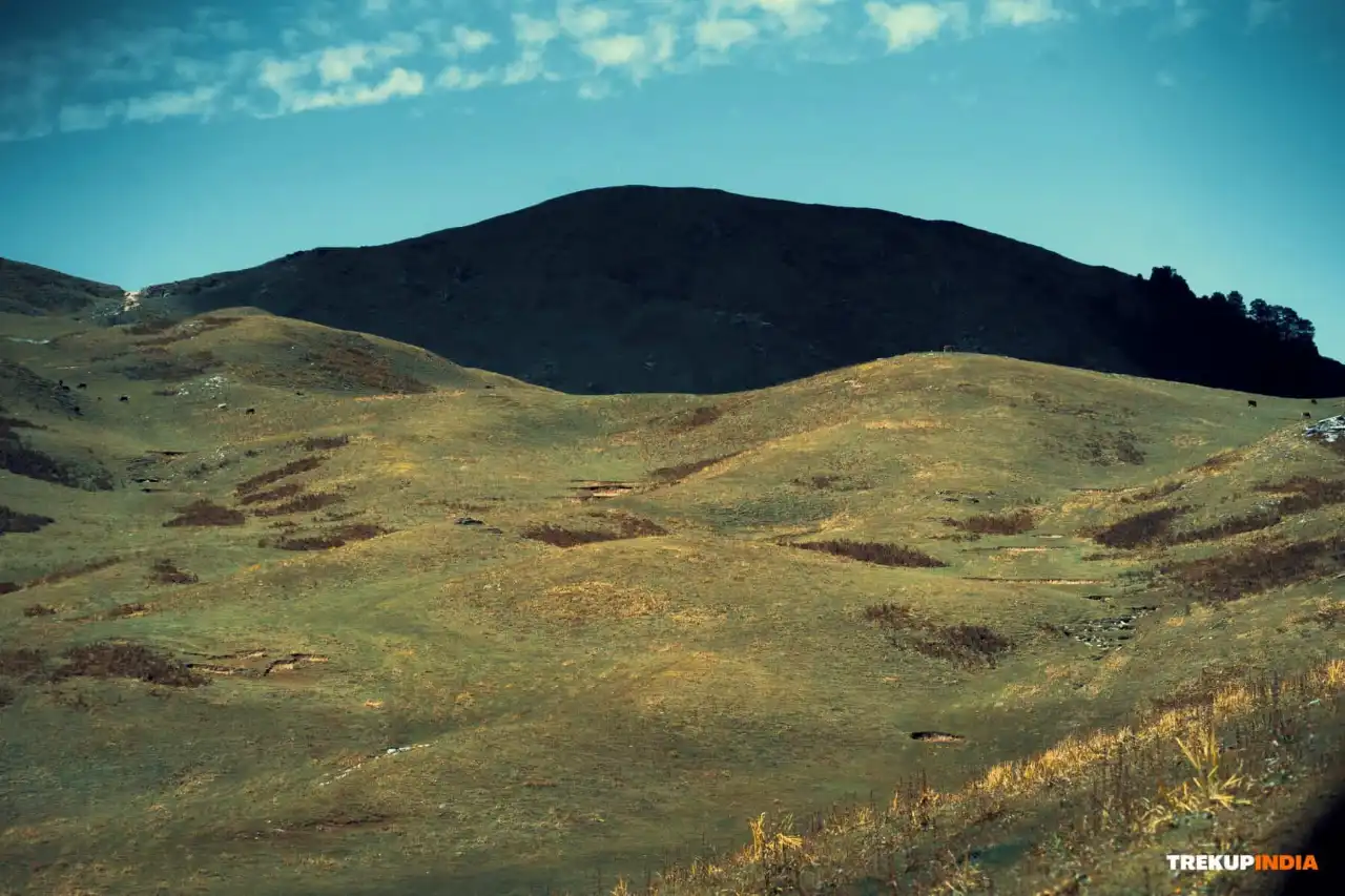 dayara bugyal trek