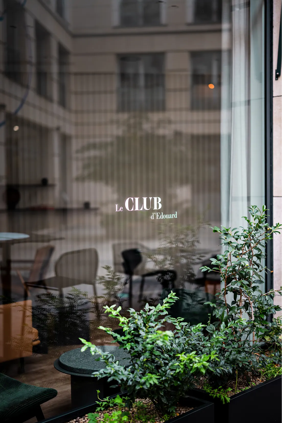 le-club-d-edouard-img-for-http://anamoussinet.com