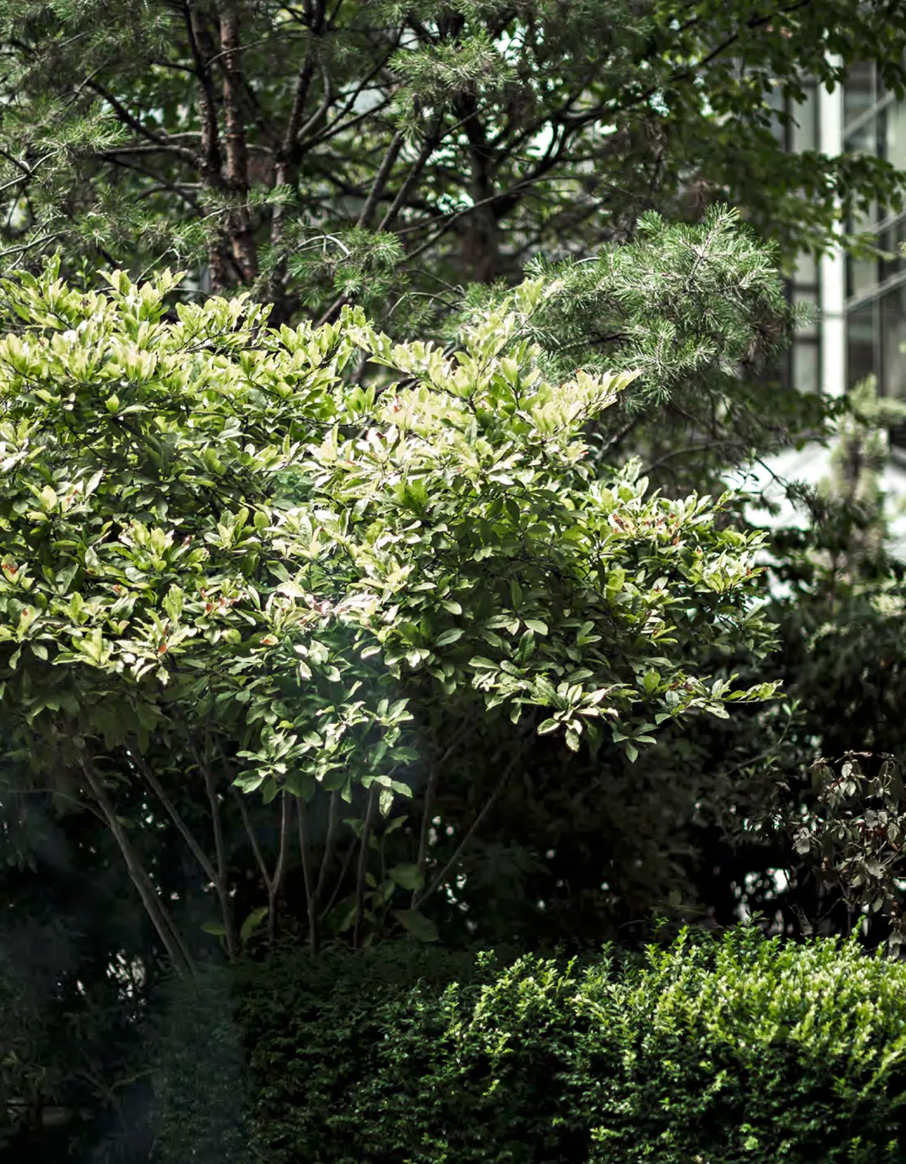 cafe-42-img-for-https://www.anamoussinet.com