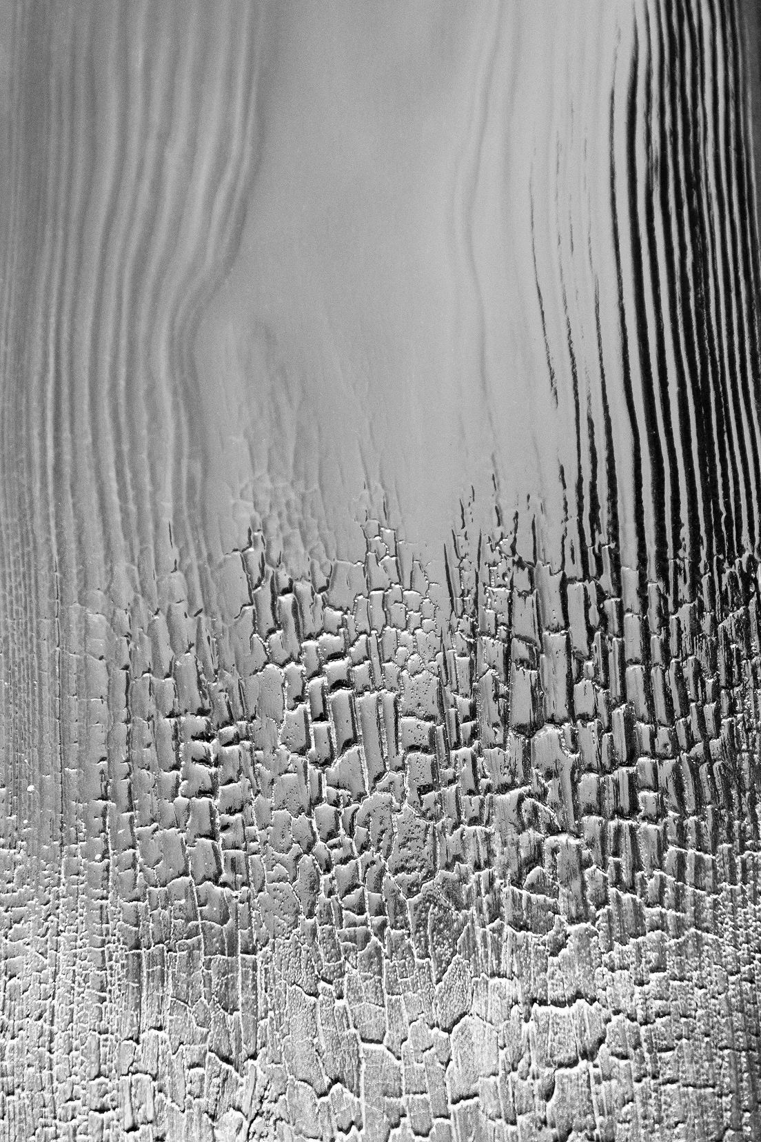 echo-img-for-http://anamoussinet.com