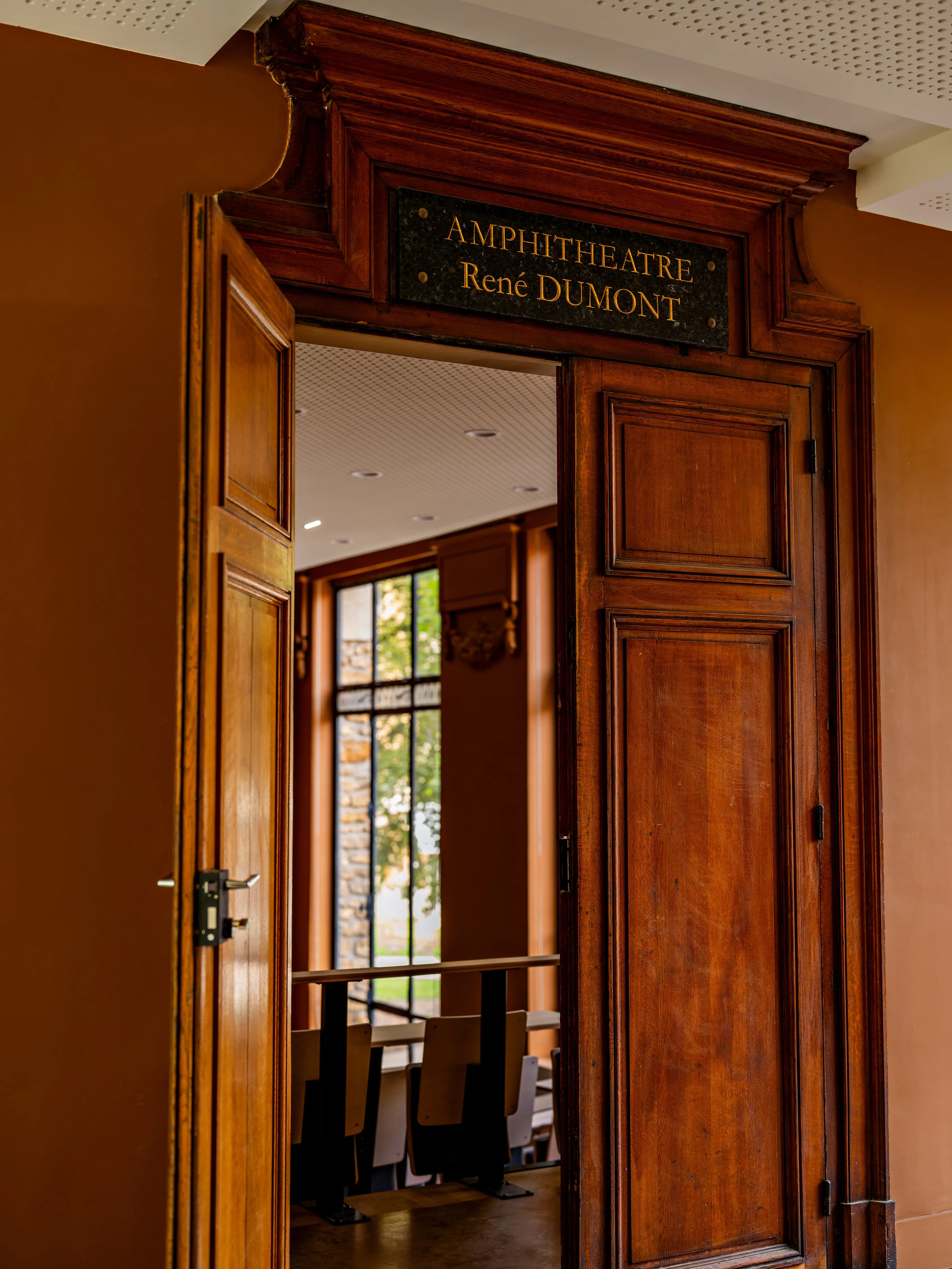 le-delta-img-for-http://anamoussinet.com