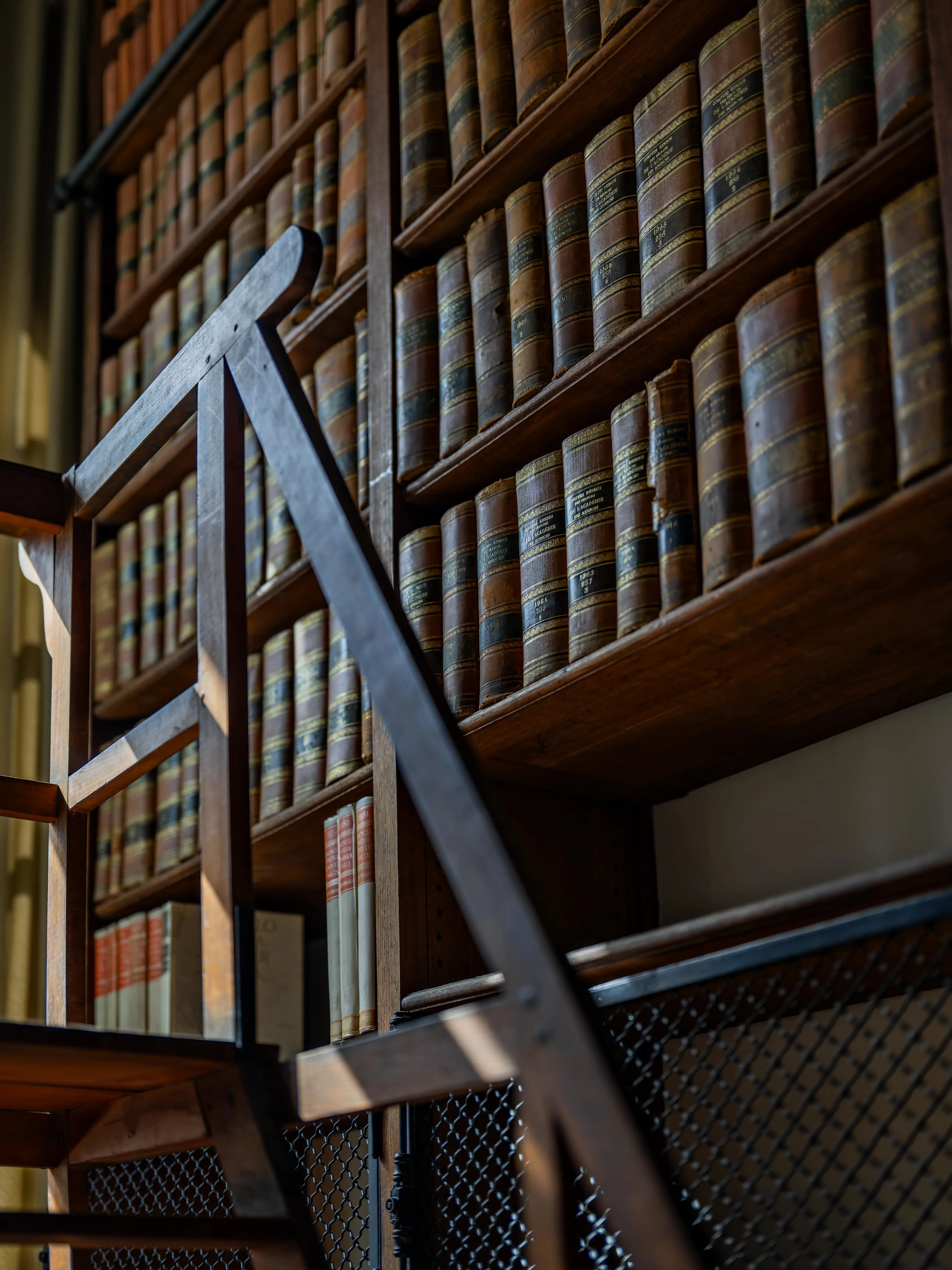 le-delta-img-for-http://anamoussinet.com