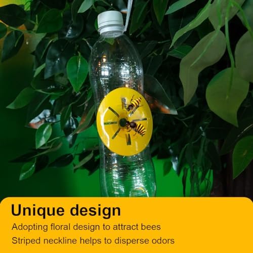 Vue 5 de Gznb Piege Frelon Asiatique