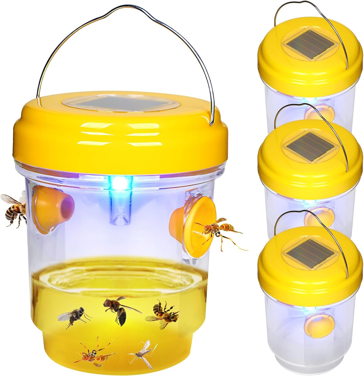 Piege Frelon Asiatique