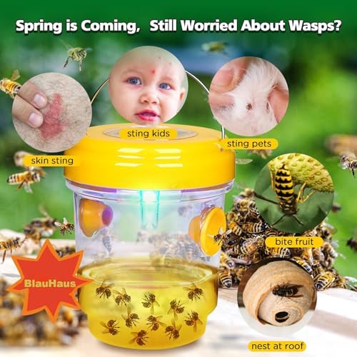 Vue 2 de Piege Frelon Asiatique