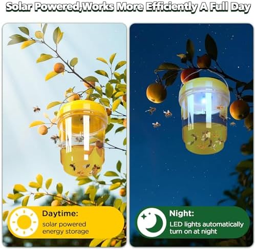 Vue 3 de Piege Frelon Asiatique