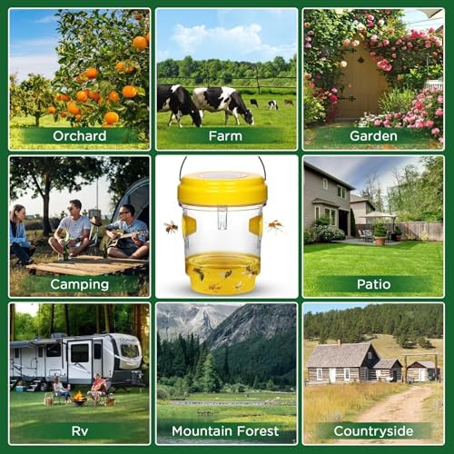 Vue 6 de Piege Frelon Asiatique