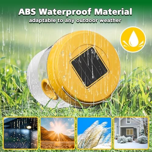 Vue 4 de Piege Guepes Et