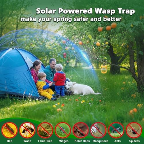 Vue 5 de Piege Guepes Et