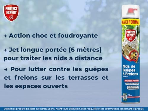 Vue 3 de Protect Expert Aerosol Pour