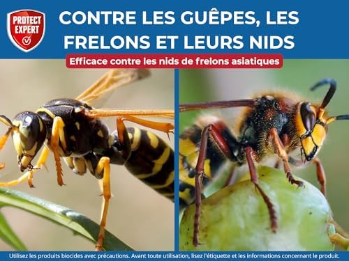 Vue 4 de Protect Expert Aerosol Pour