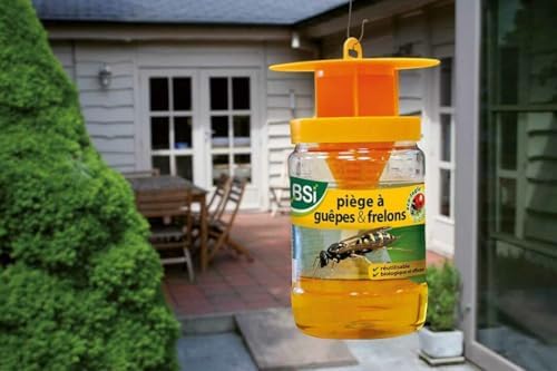 Vue 5 de Bsi Piege Guepes