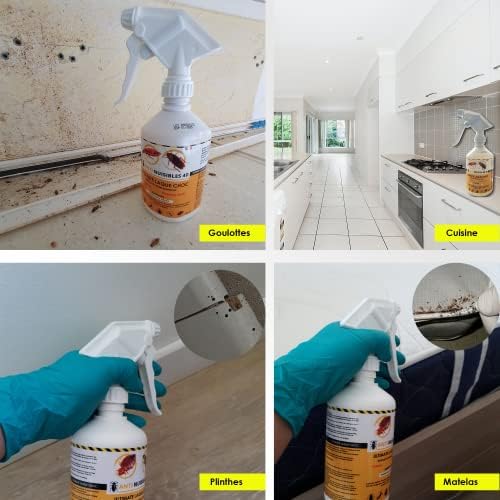 Vue 5 de Anti Cafards Puissant Professionnel