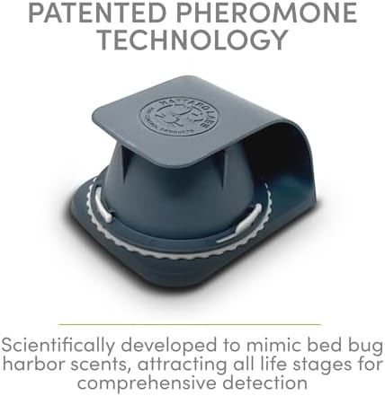 Vue 2 de Nattaro Scout Solution De