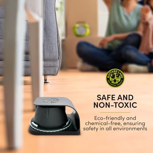 Vue 4 de Nattaro Scout Solution De