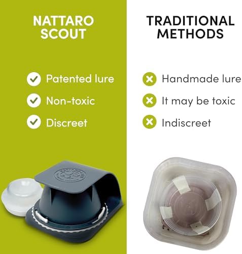 Vue 7 de Nattaro Scout Solution De