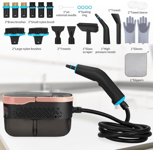 Vue 2 de Nettoyeur Vapeur Portable