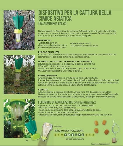 Vue 2 de Piege Ecologique Punaises De